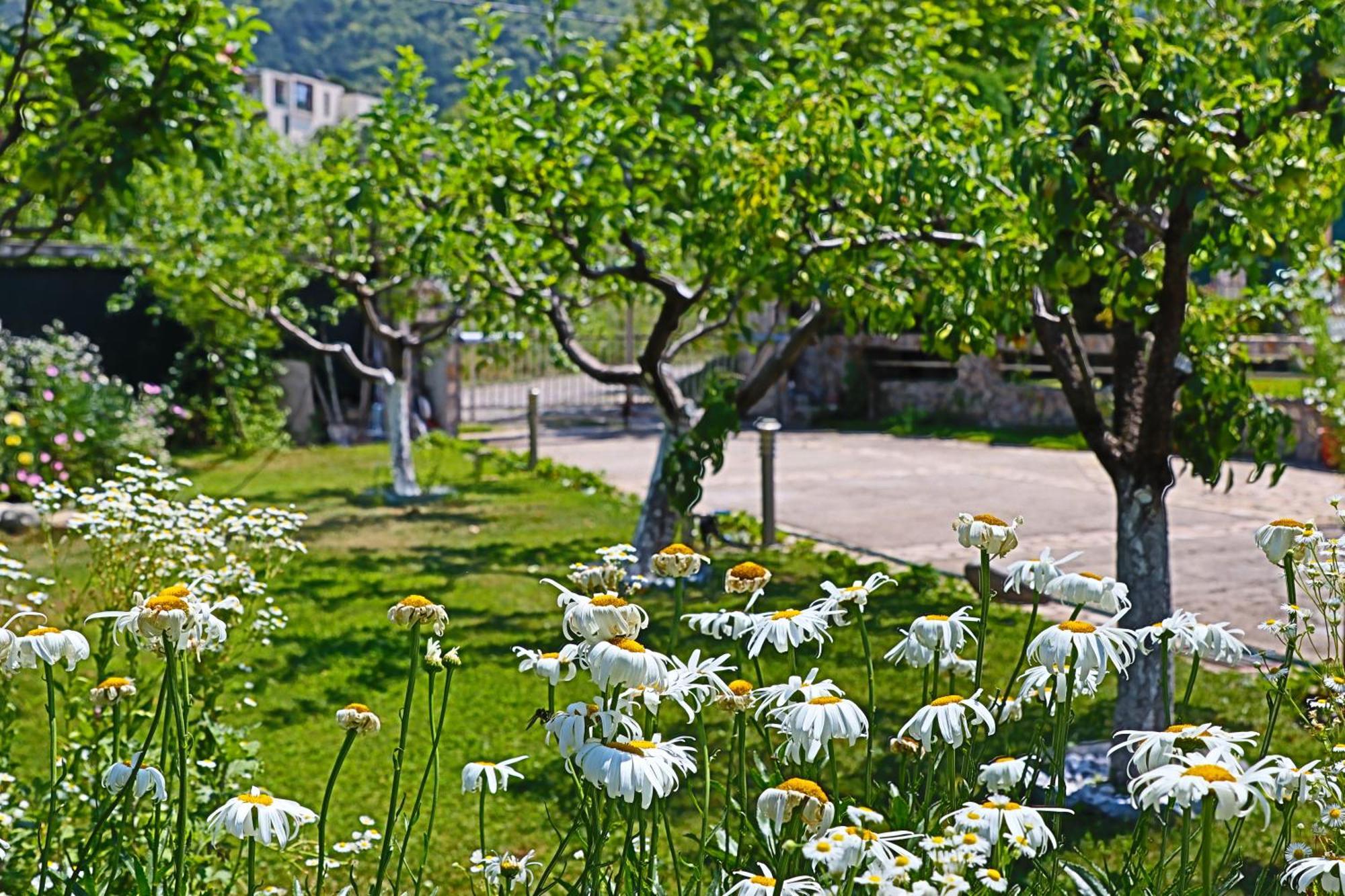 Holiday House Kubrat Sapareva Banya Buitenkant foto