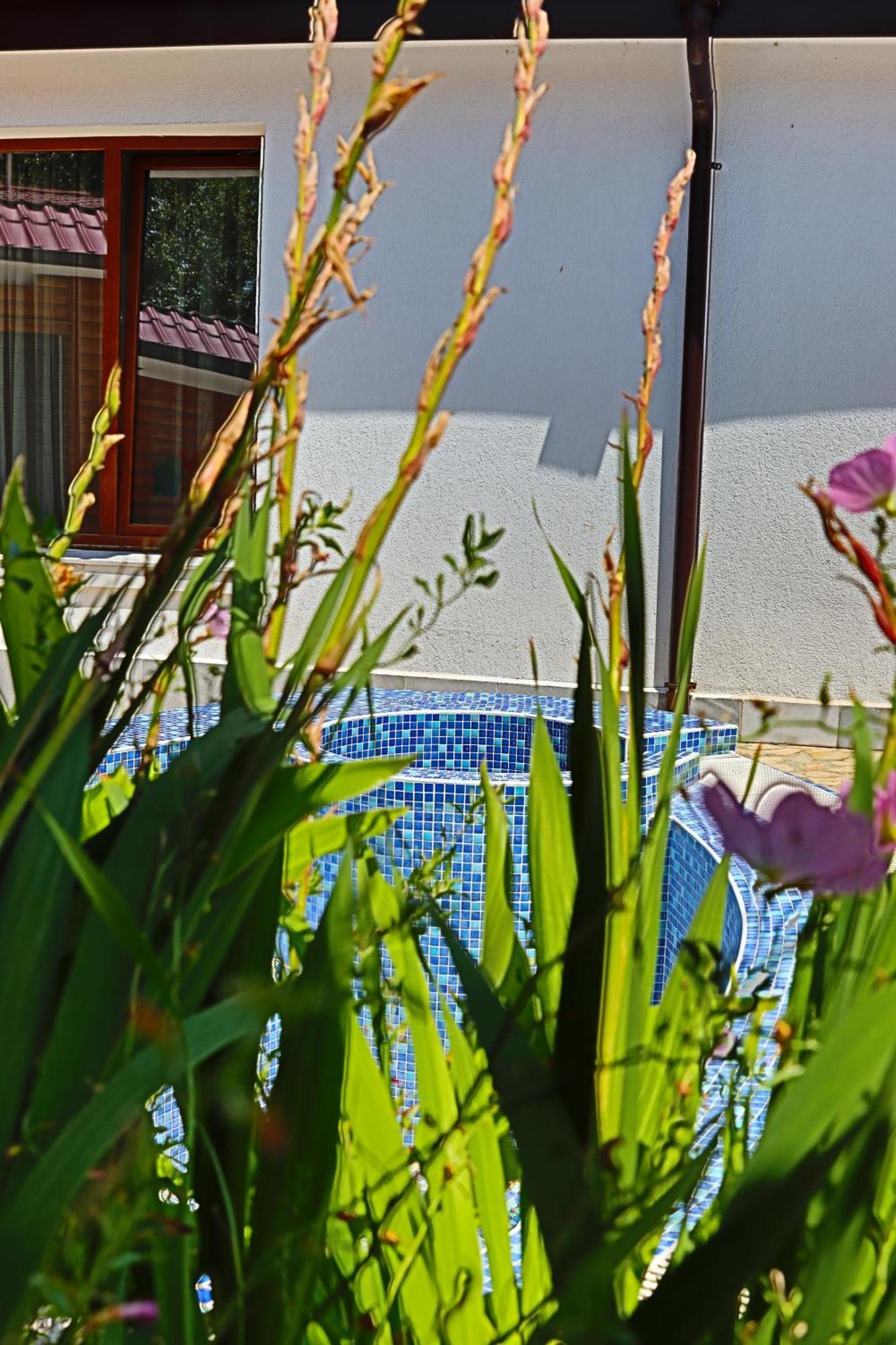 Holiday House Kubrat Sapareva Banya Buitenkant foto